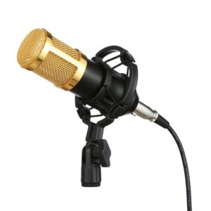 Professional Sound Recording Cord Kit Condenser Microphone