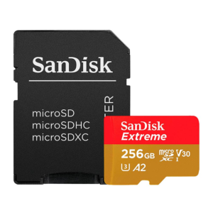 Sandisk Micro SD 256GB 160MB