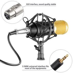 Condenser Microphone Recording Kit - Professional Sound Quality